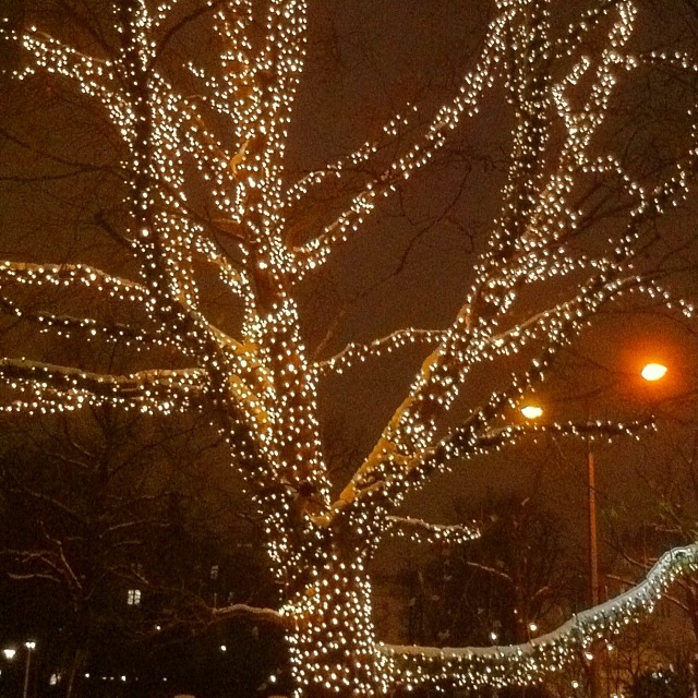Beleuchteter Baum