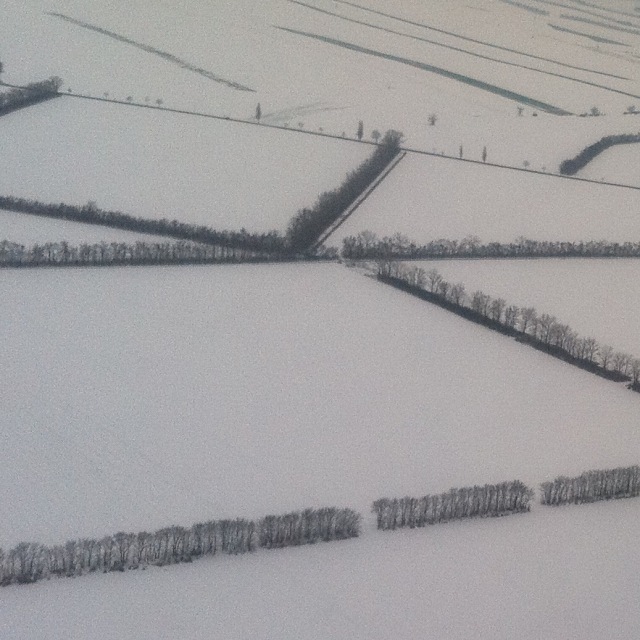 Baumreien im Schnee