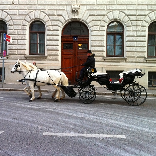 Fiaker in Wien